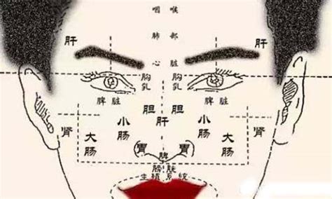 眉毛五行|面相学基础：发眉须毛与五脏五行的对应关系 命运风。